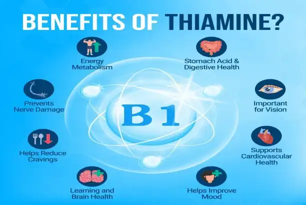 Which is better, vitamin B1 or benfotiamine?