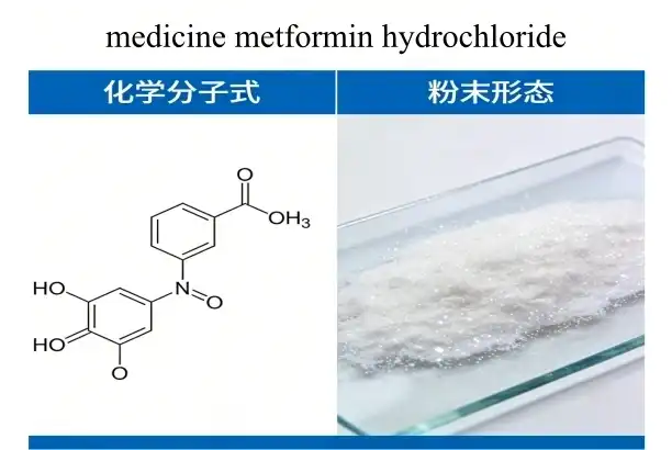 What Is Metformin Hydrochloride Used For? A Complete Guide to Its Role in Diabetes Treatment