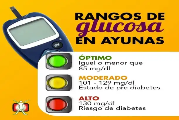 How to Use Metformin Hydrochloride for Type 2 Diabetes: Dosage and Safety Guidelines