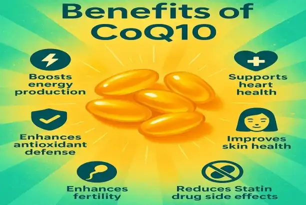Coenzyme Q10 bulk powder: Heart Health & Bioavailability Guide