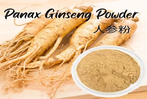 What is ginseng extract powder?